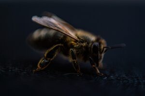 敏感肌に優しい脱毛方法はどれですか？