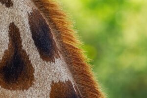 敏感肌の人がワキ脱毛で感じる痛みを軽減する方法は？